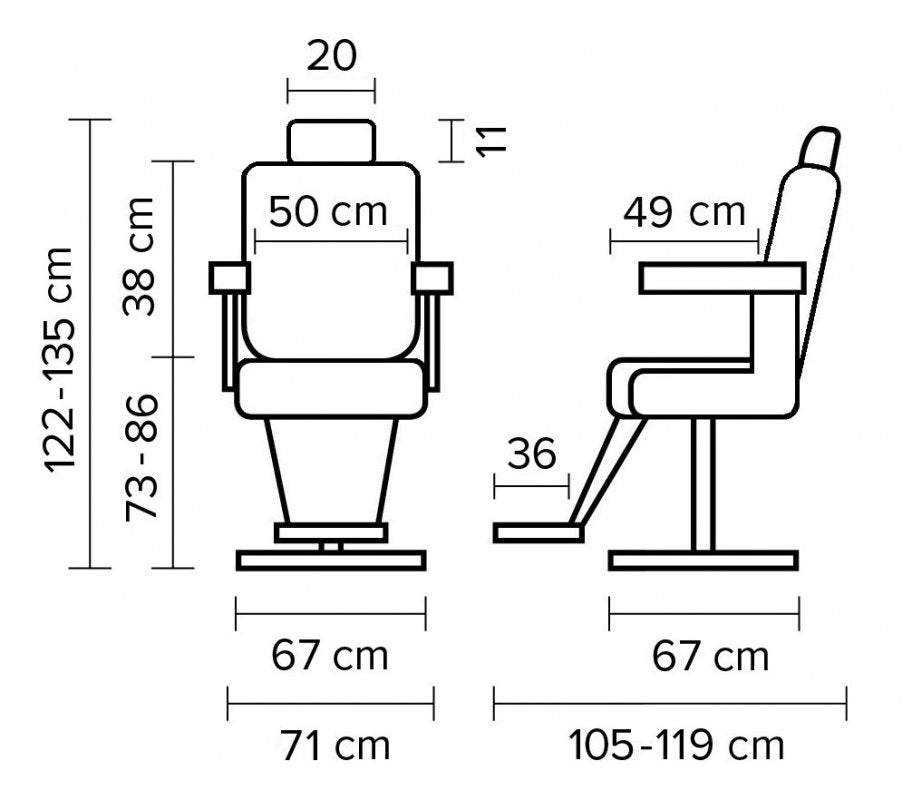 Barber Chair Dino